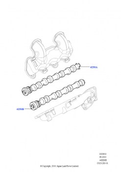 Распределительный Вал (4.4L DOHC DITC V8 Diesel)