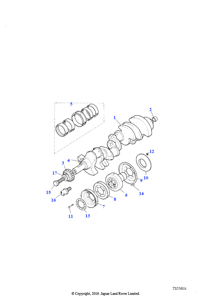 Коленчатый вал и подшипники (Бензин V8 L/R EFI)