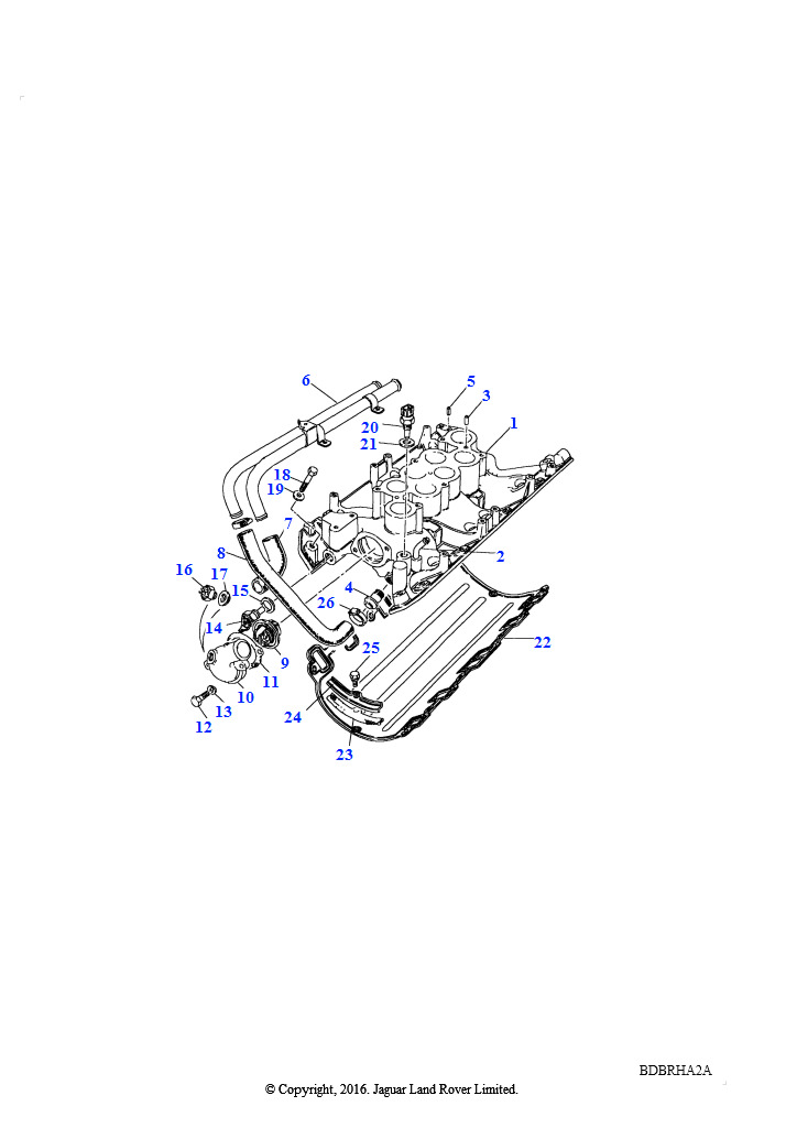Впускной коллектор (V8, EFI, бензин)